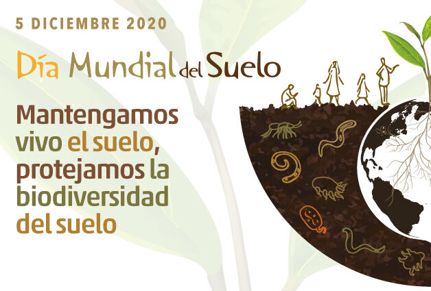 Día Mundial del Suelo 2020