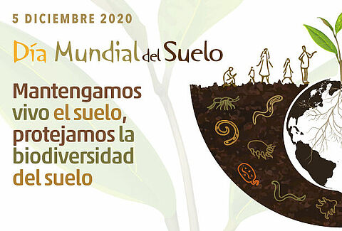 Día Mundial del Suelo 2020