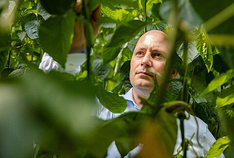 Un impresionante catálogo de ácaros depredadores gracias a la mejora e innovación continuas
