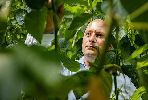 Un impresionante catálogo de ácaros depredadores gracias a la mejora e innovación continuas