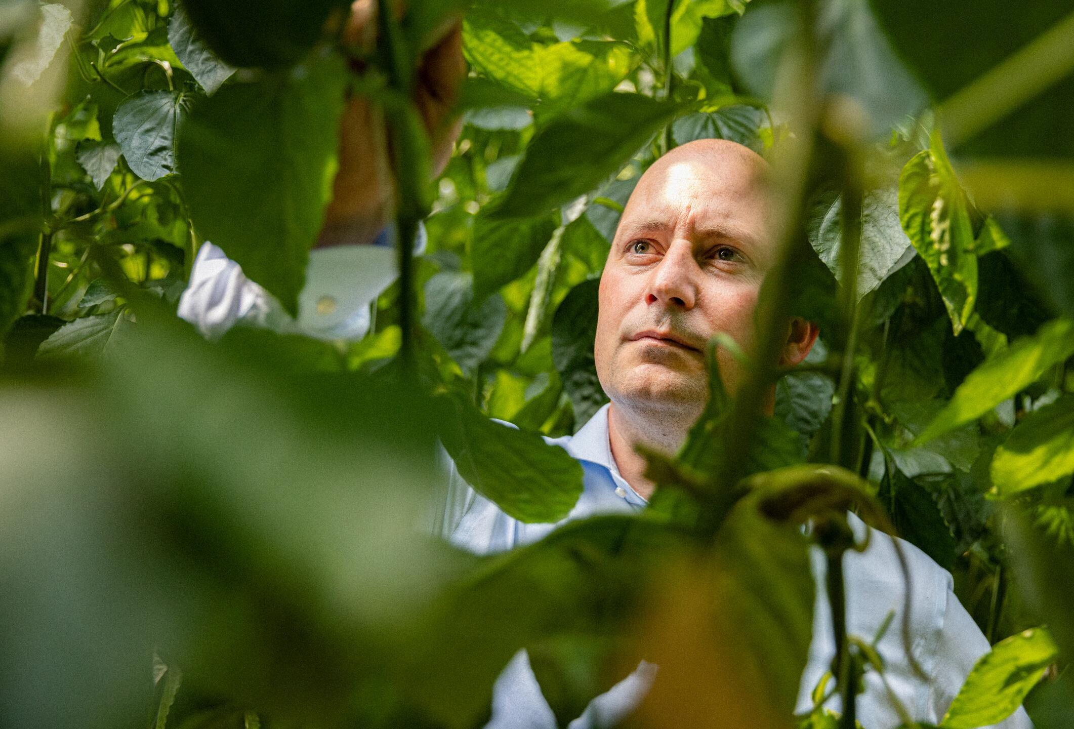 Un impresionante catálogo de ácaros depredadores gracias a la mejora e innovación continuas