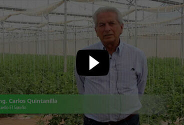 La polinización natural y el caso de éxito en El Sureño Invernaderos