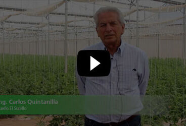 La polinización natural y el caso de éxito en El Sureño Invernaderos