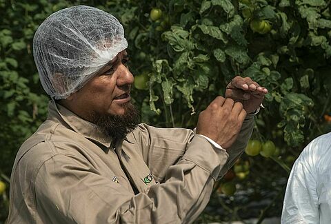 Koppert México presente en importante foro internacional en España