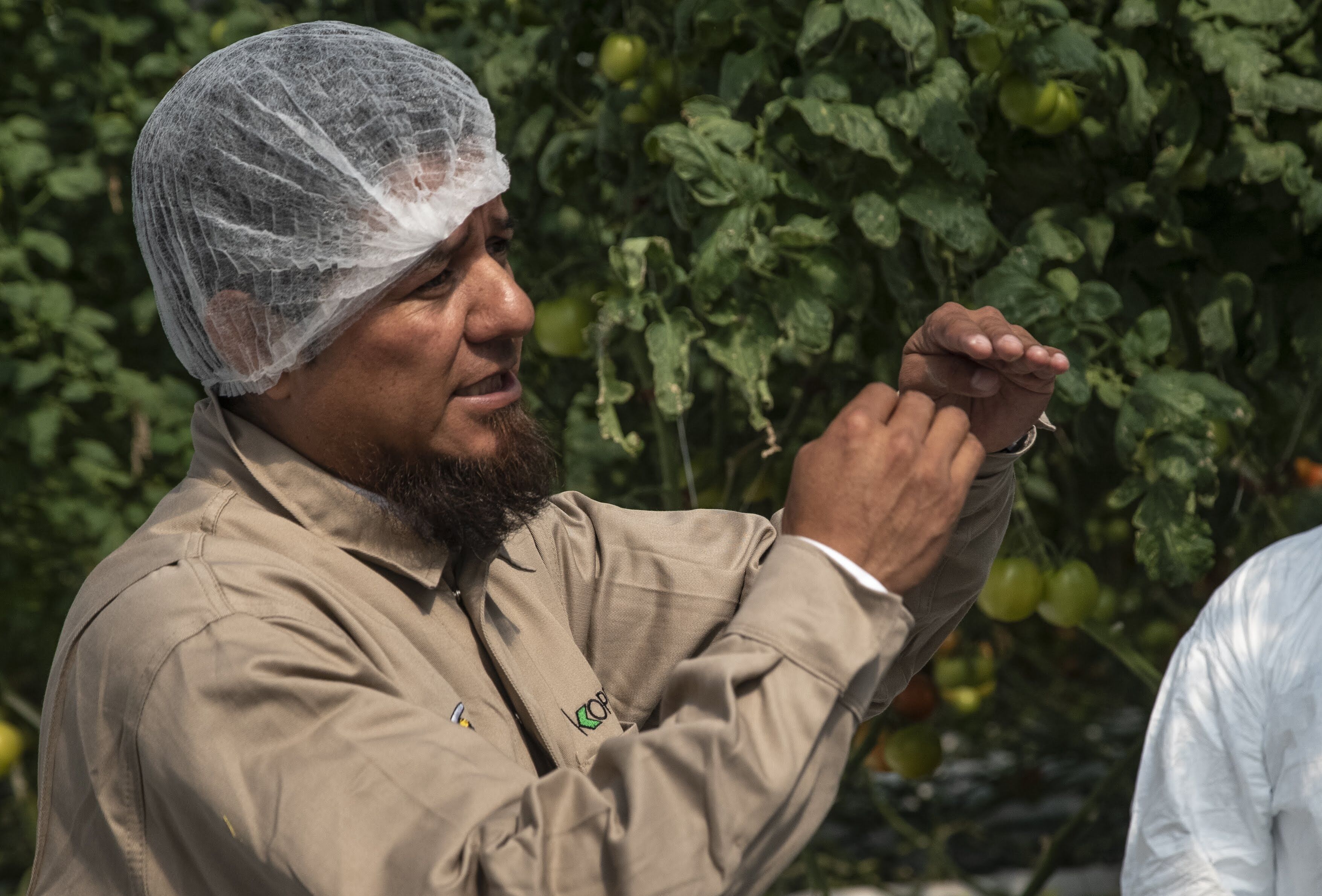 Koppert México presente en importante foro internacional en España