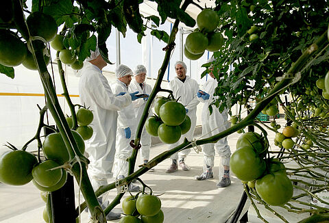 Oportunidades sin fronteras con el nuevo convenio entre la Universidad Ceickor y Gyeongsangnam-do Agricultural Research & Extension Services de Corea del Sur