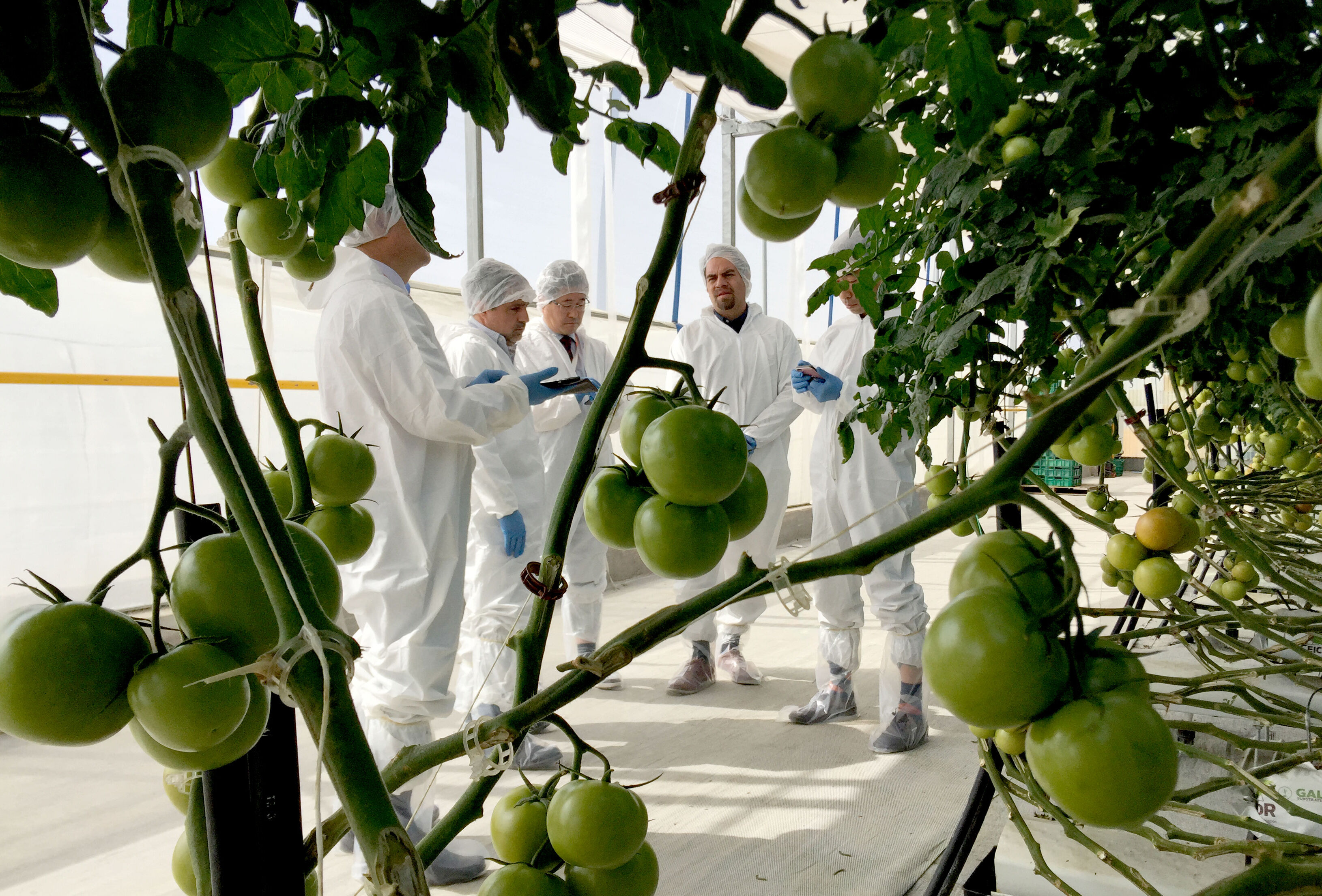 Oportunidades sin fronteras con el nuevo convenio entre la Universidad Ceickor y Gyeongsangnam-do Agricultural Research & Extension Services de Corea del Sur