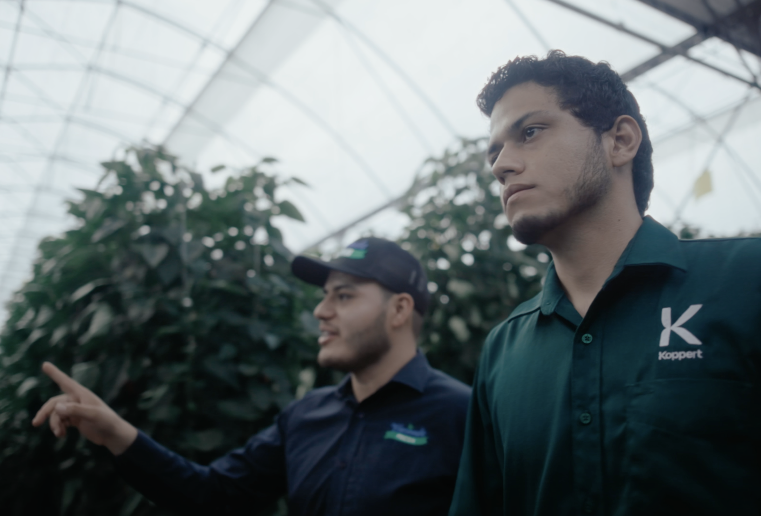 La Hacienda Fresh aumenta la rentabilidad de su cultivo gracias al control biológico