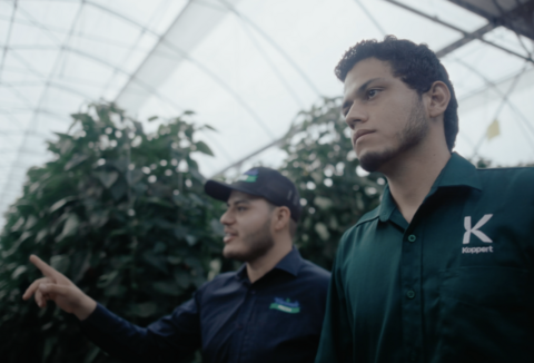 La Hacienda Fresh aumenta la rentabilidad de su cultivo gracias al control biológico