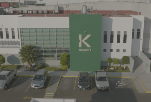 ¿Por qué trabajar en Koppert?