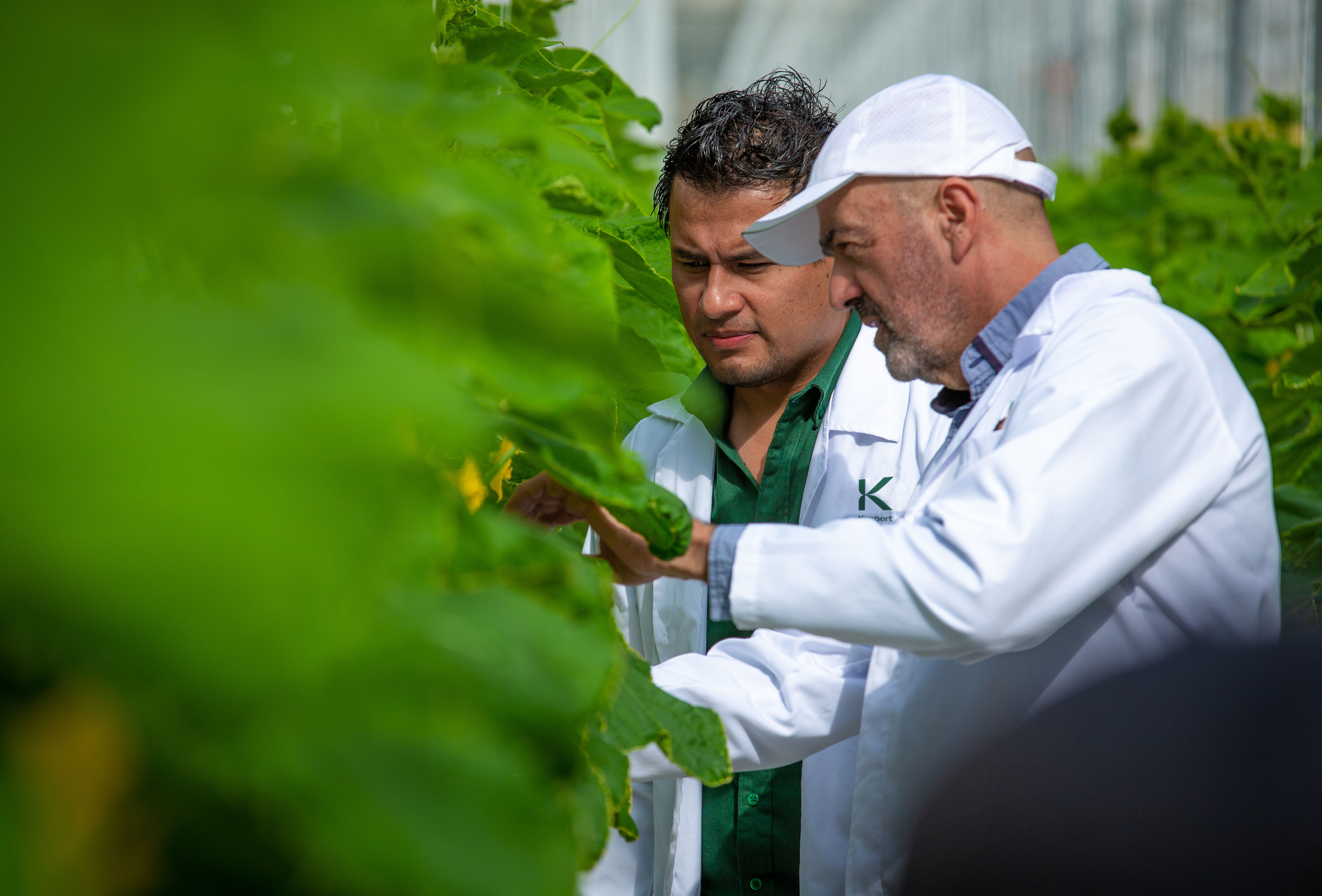 Las mejores decisiones se toman a partir de un buen monitoreo