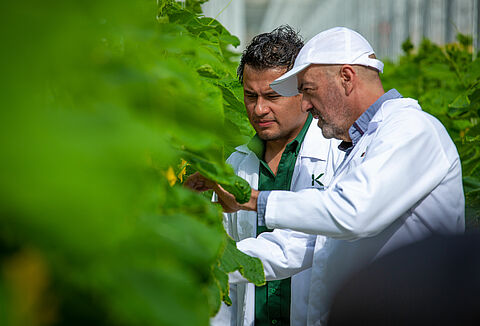 Las mejores decisiones se toman a partir de un buen monitoreo