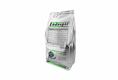 Endospor
