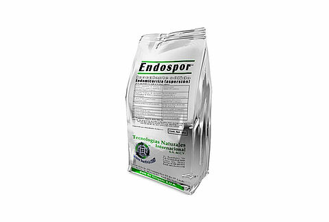 Endospor