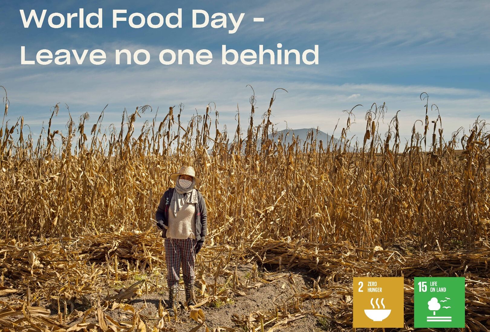 Celebrando a los verdaderos héroes de la comida
