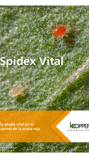 Spidex Vital Leaflet