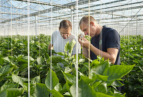 MIP: La respuesta a los retos del futuro