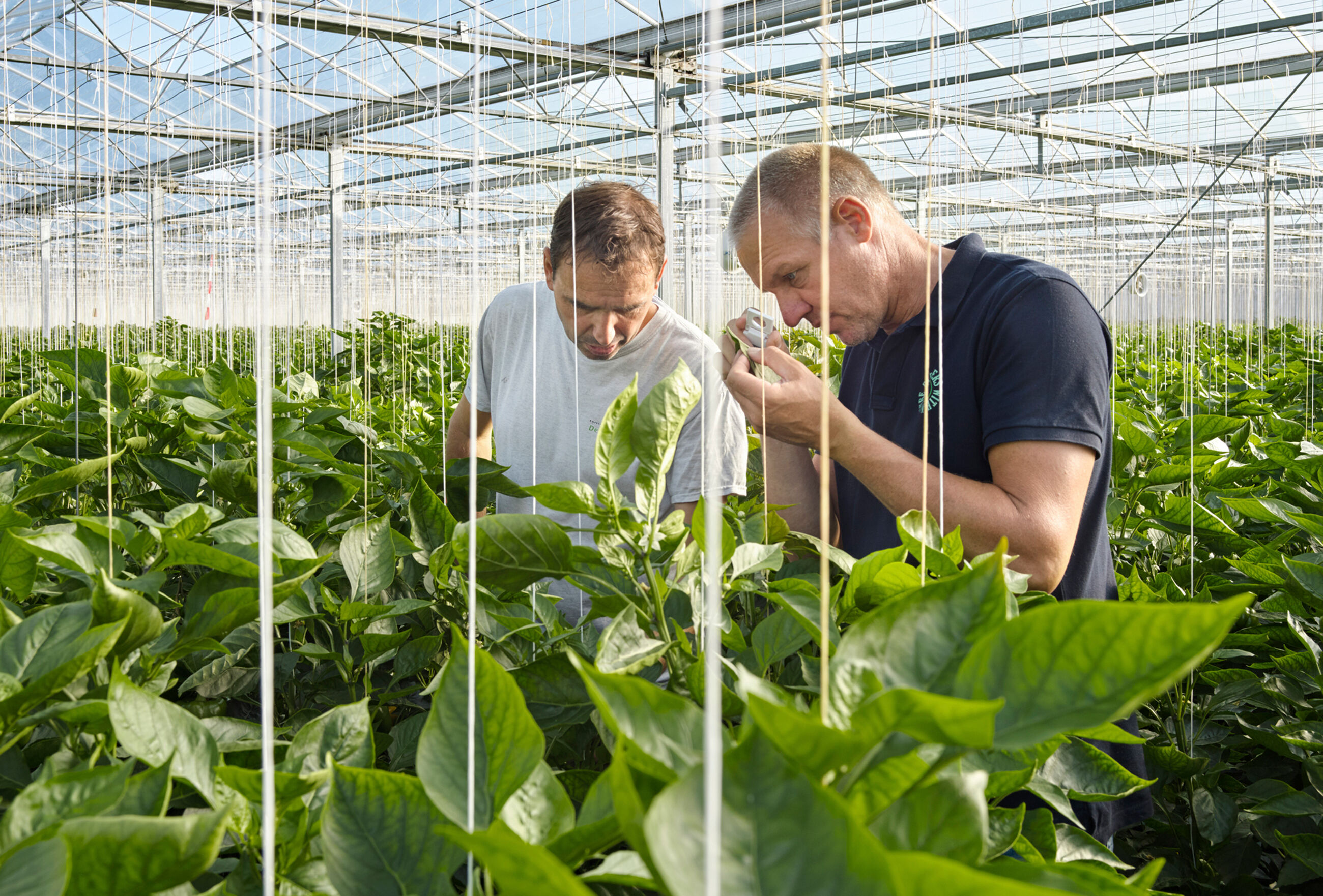 MIP: La respuesta a los retos del futuro