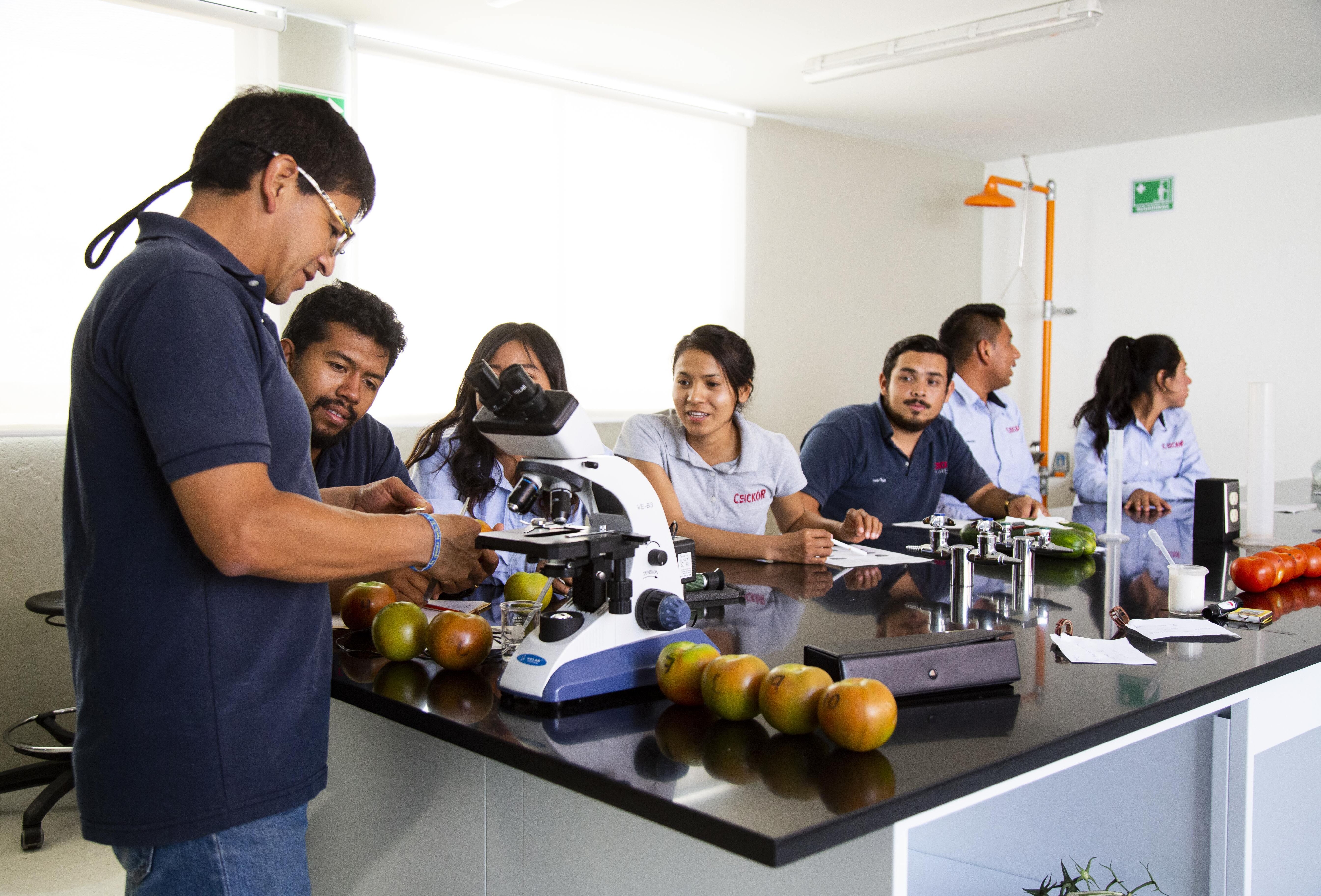 CEICKOR celebra su 15° aniversario con la presentación de un libro conmemorativo