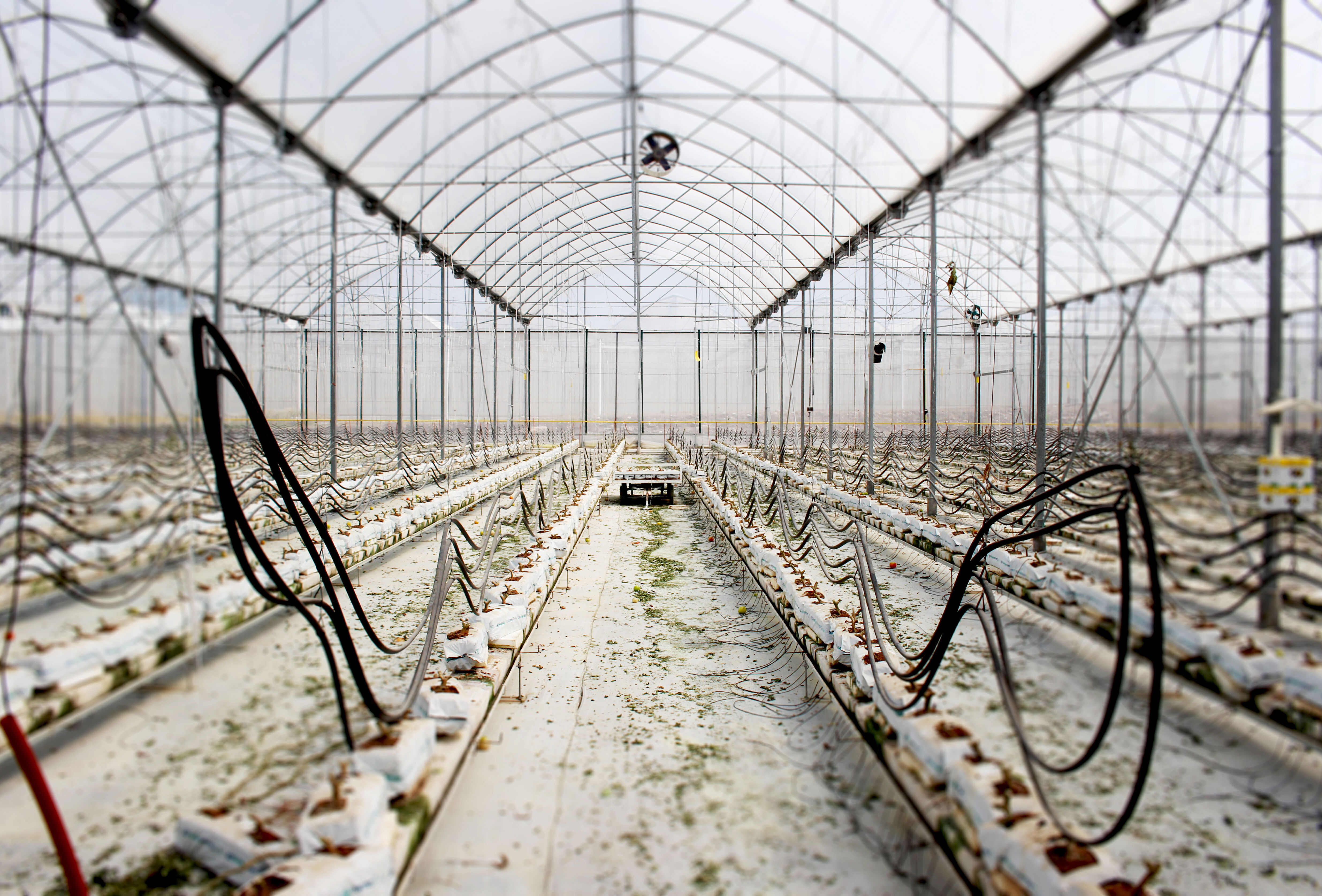 ¿Cambio de ciclo? ¡El momento perfecto para prevenir enfermedades por medio de la limpieza y desinfección!