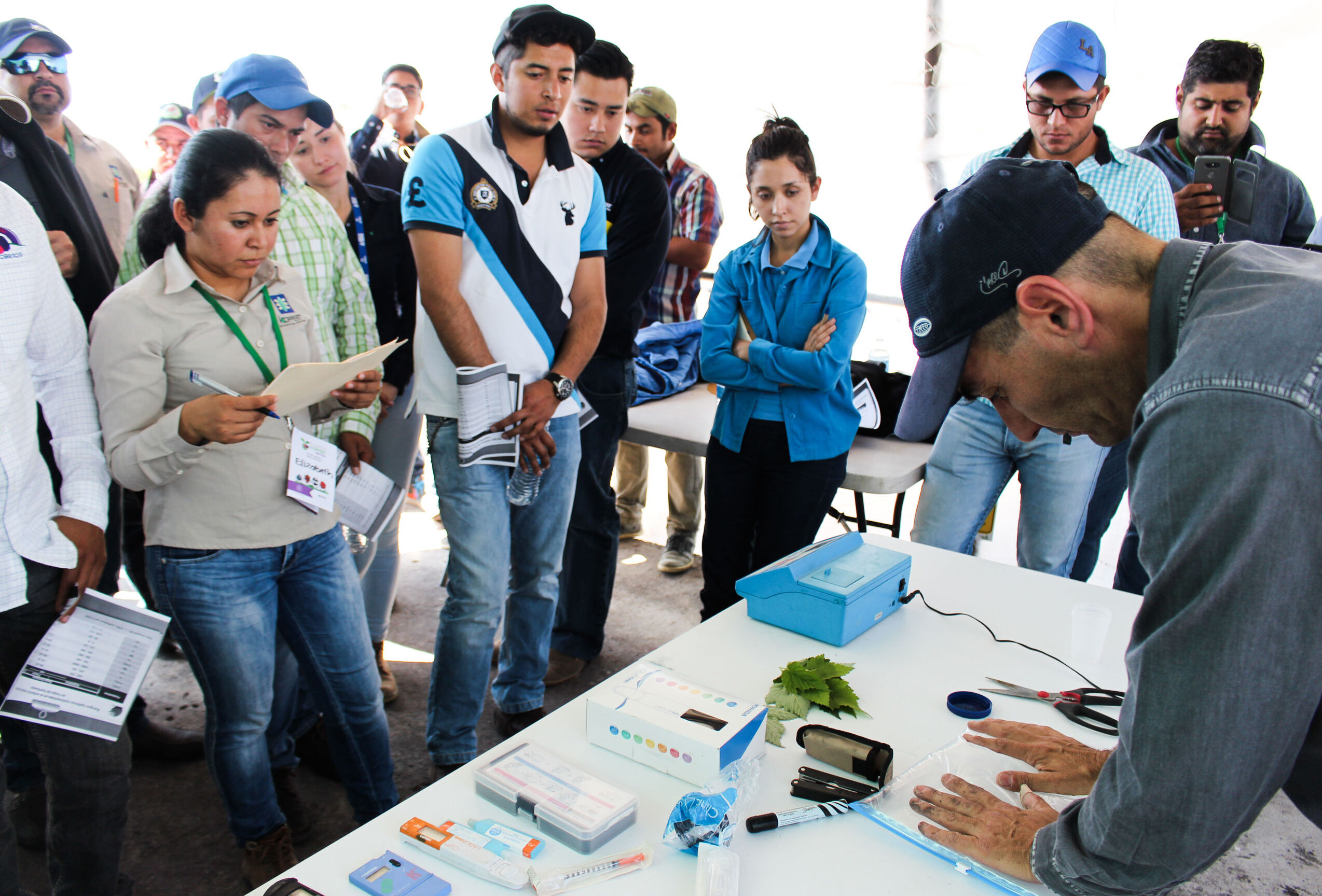 Koppert México imparte el Curso Berries 2016 en Zamora, Michoacán y San Quintín, Baja California