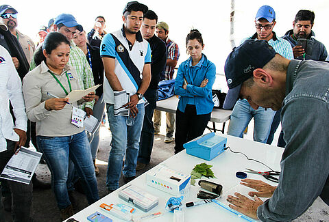 Koppert México imparte el Curso Berries 2016 en Zamora, Michoacán y San Quintín, Baja California