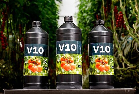 V10 es reconocido como la innovación neerlandesa del año