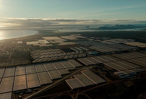 Rancho Los Pinos es un aliado de la naturaleza
