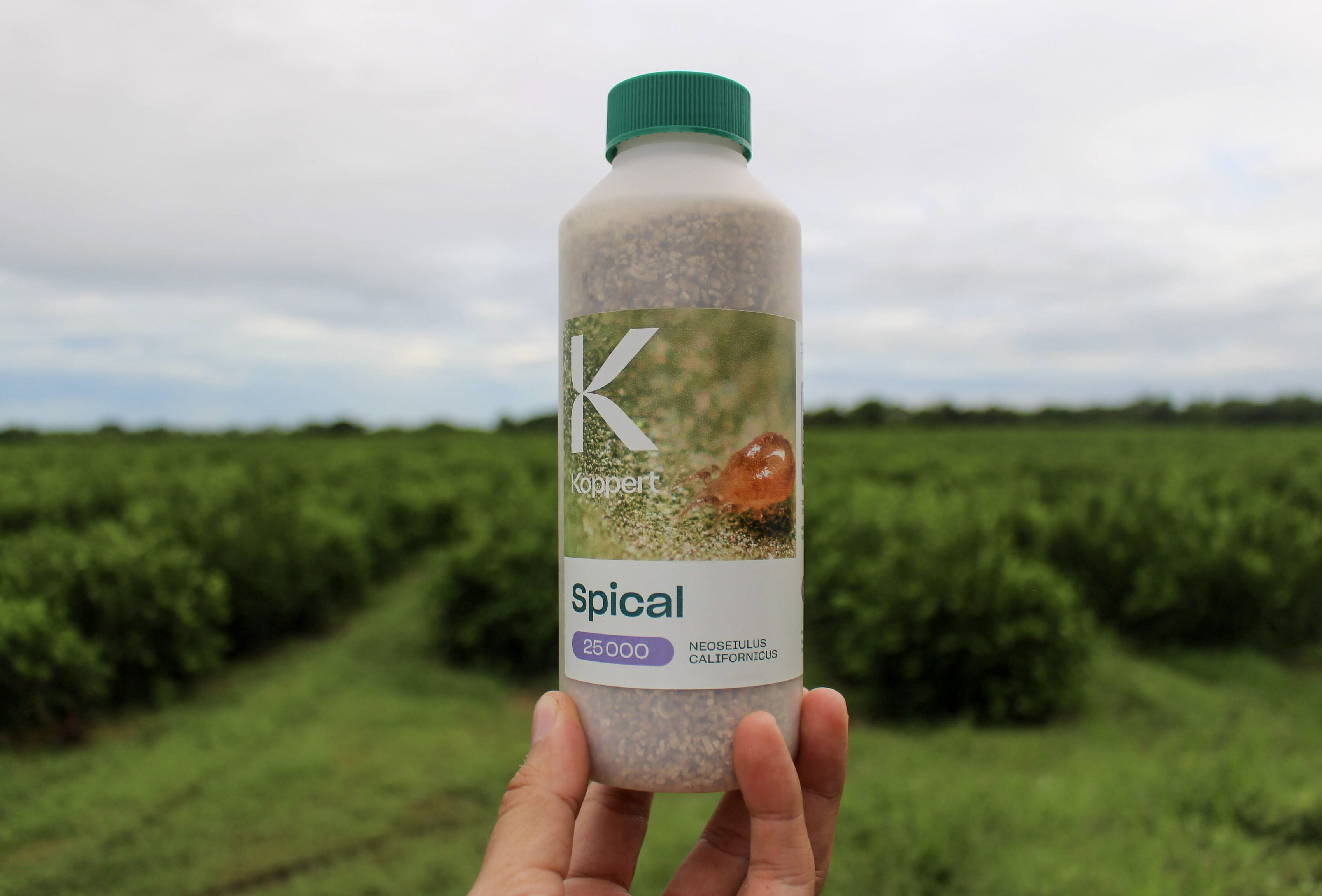 Seminario de control de plagas y nutrición en limón persa