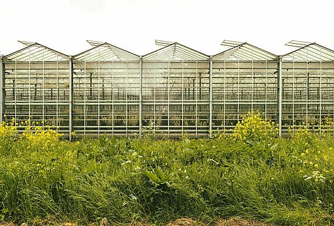 Biodiversidad: una investigación sobre nuestro impacto positivo en la naturaleza