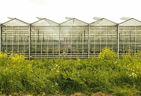 Biodiversidad: una investigación sobre nuestro impacto positivo en la naturaleza