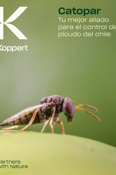 Folleto Catopar