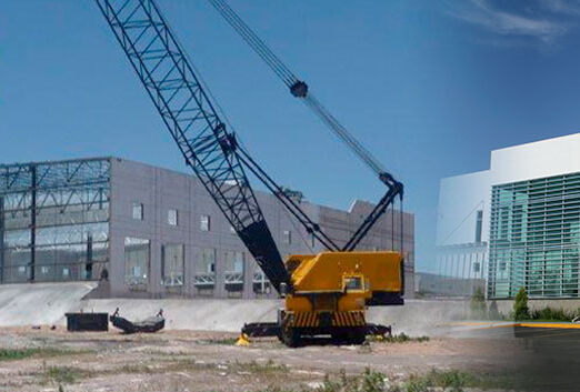 10 cosas que, tal vez, no sabías de Koppert México