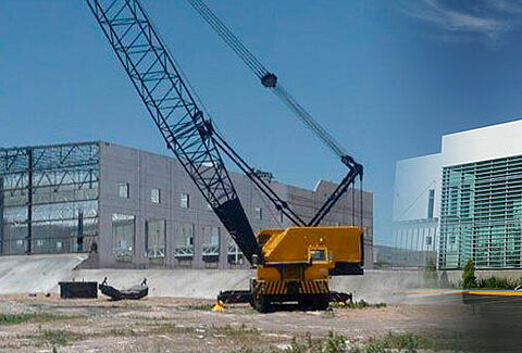 10 cosas que, tal vez, no sabías de Koppert México