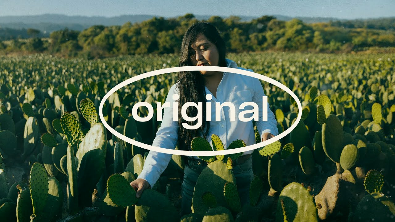 Historias orginales - Jimena Lima