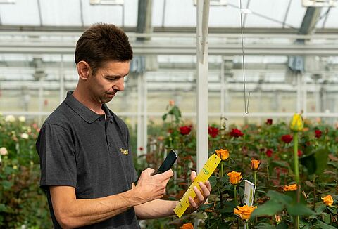 Menos uso de plaguicidas químicos gracias a Natutec Scout