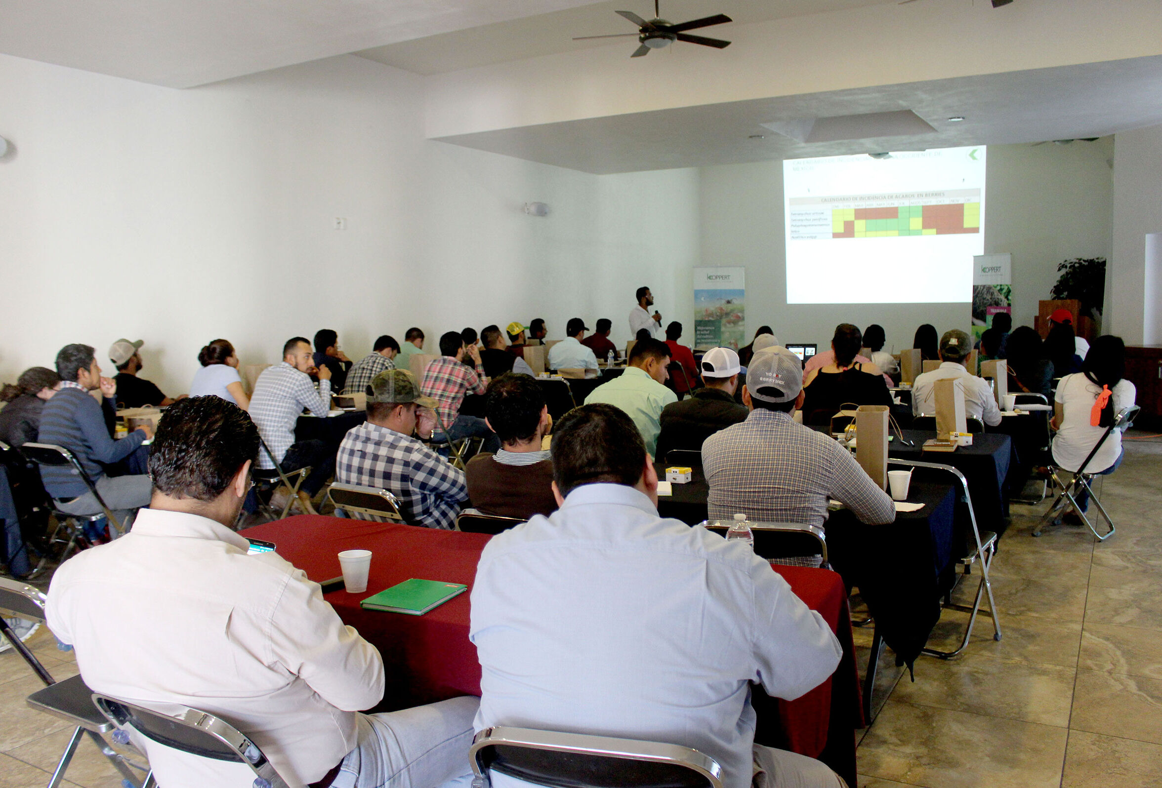 Koppert realizó un curso para agricultores de berries en Ciudad Guzmán