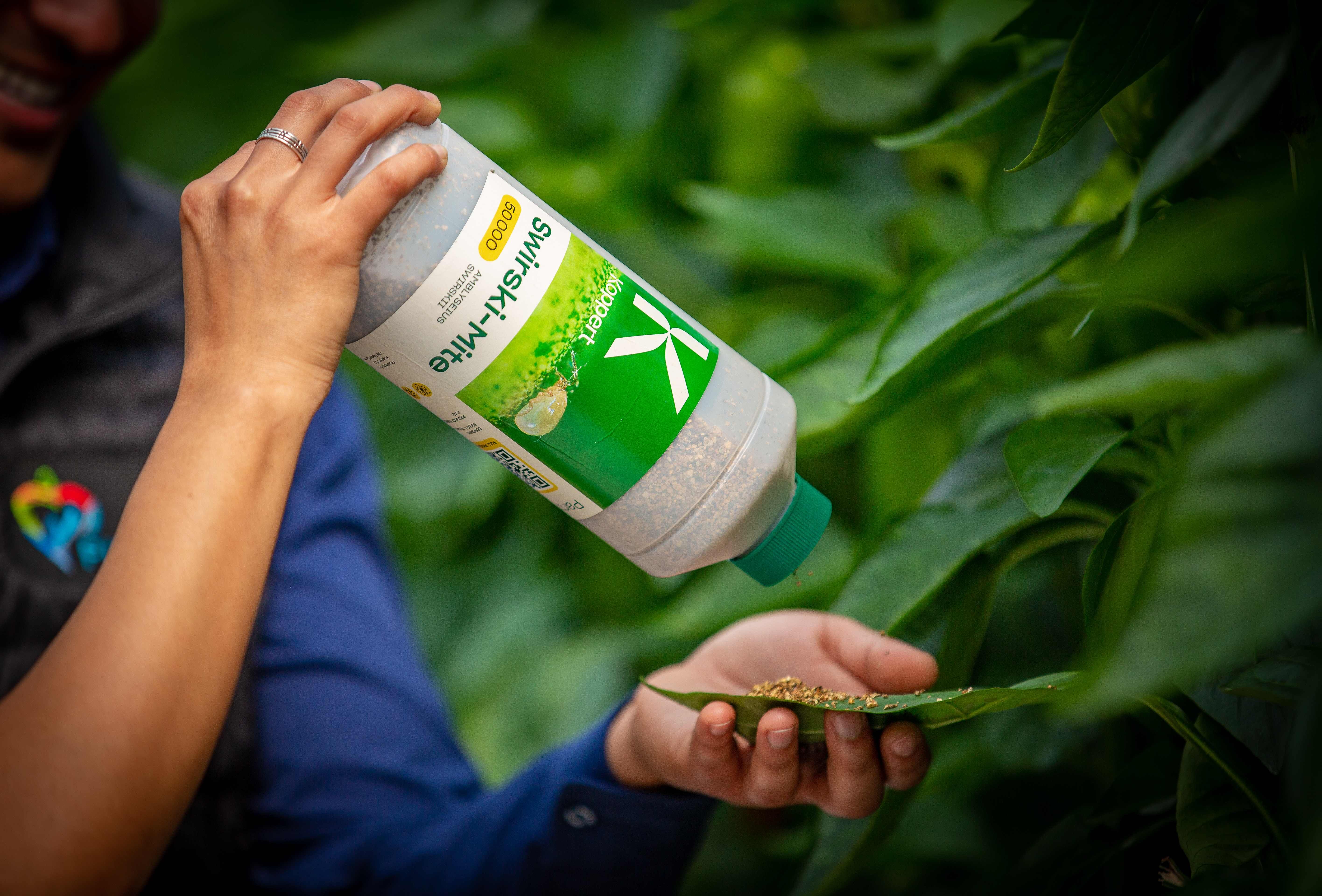 Un diseño pensado para los productores