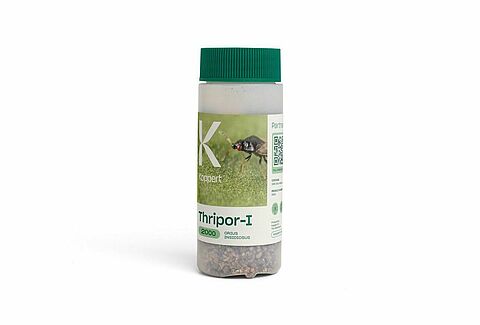Thripor-I