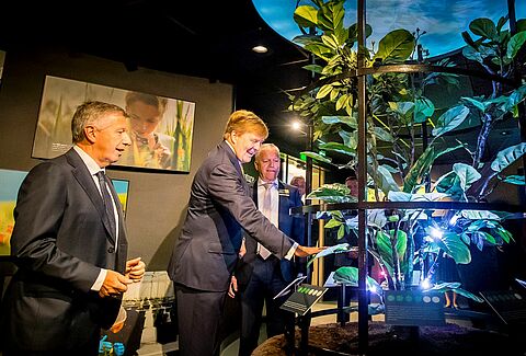 El rey de Holanda asiste a los festejos del 50 aniversario de Koppert