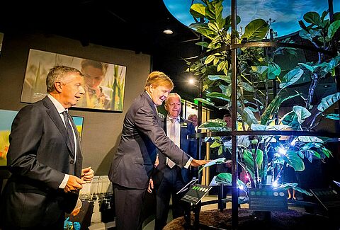 El rey de Holanda asiste a los festejos del 50 aniversario de Koppert