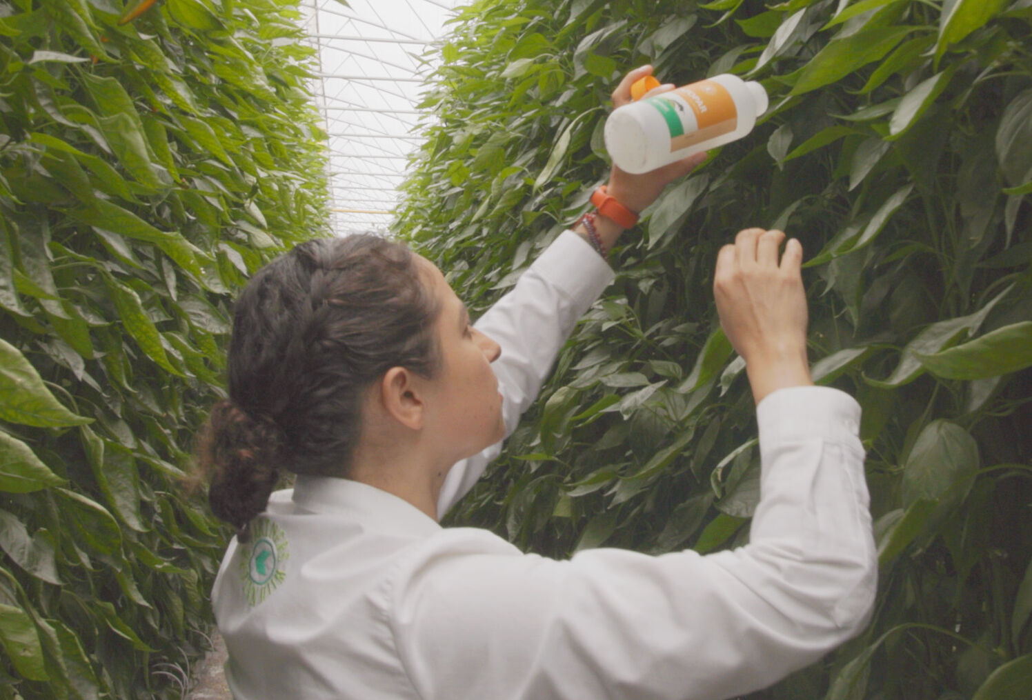 Los hitos de nuestro 24° aniversario