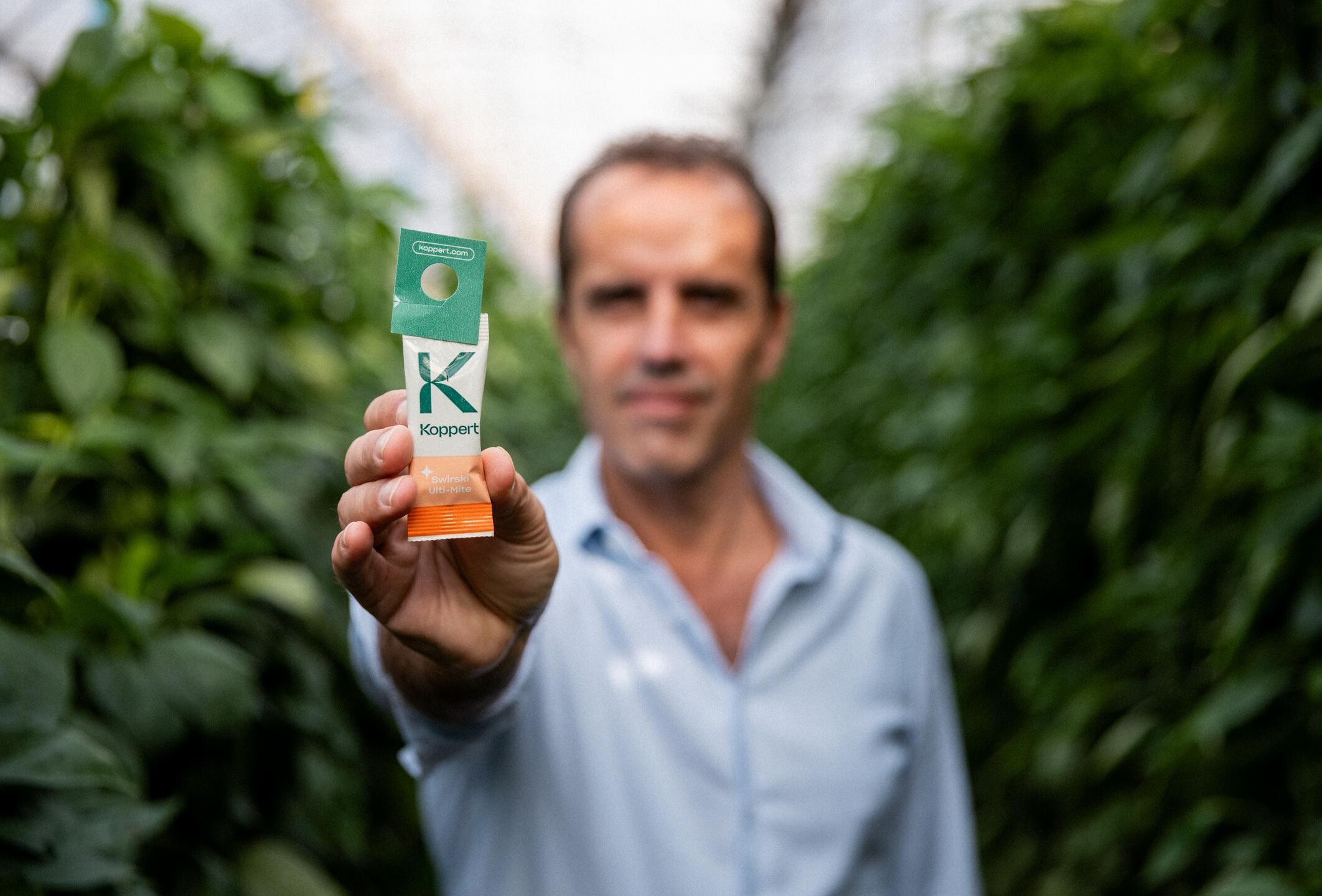 Un punto de inflexión en Almería: cómo los ácaros depredadores ayudaron a transformar la agricultura