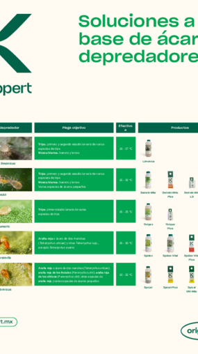 Póster sobre ácaros depredadores