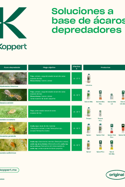 Póster sobre ácaros depredadores