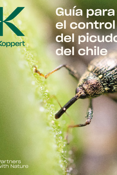 Guía del Picudo del Chile