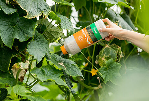 ¡La calidad es clave en Koppert!