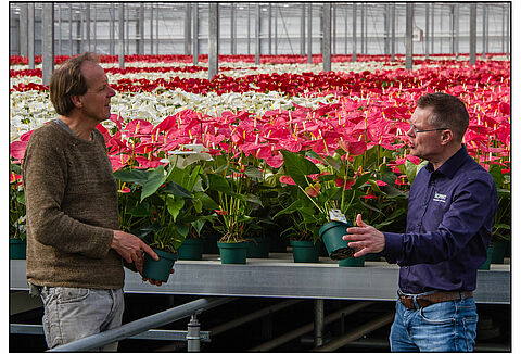 Amazone Plants continúa la senda del cultivo ecológico