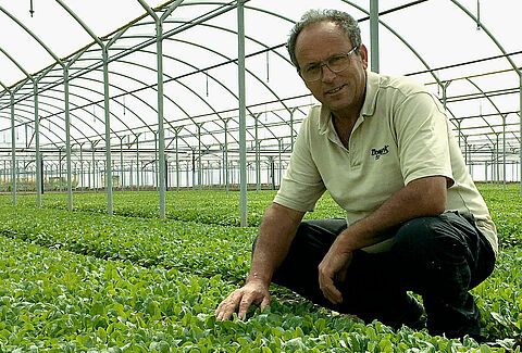 Un rendimiento superior de mi cultivo logrado desde el interior de mi suelo