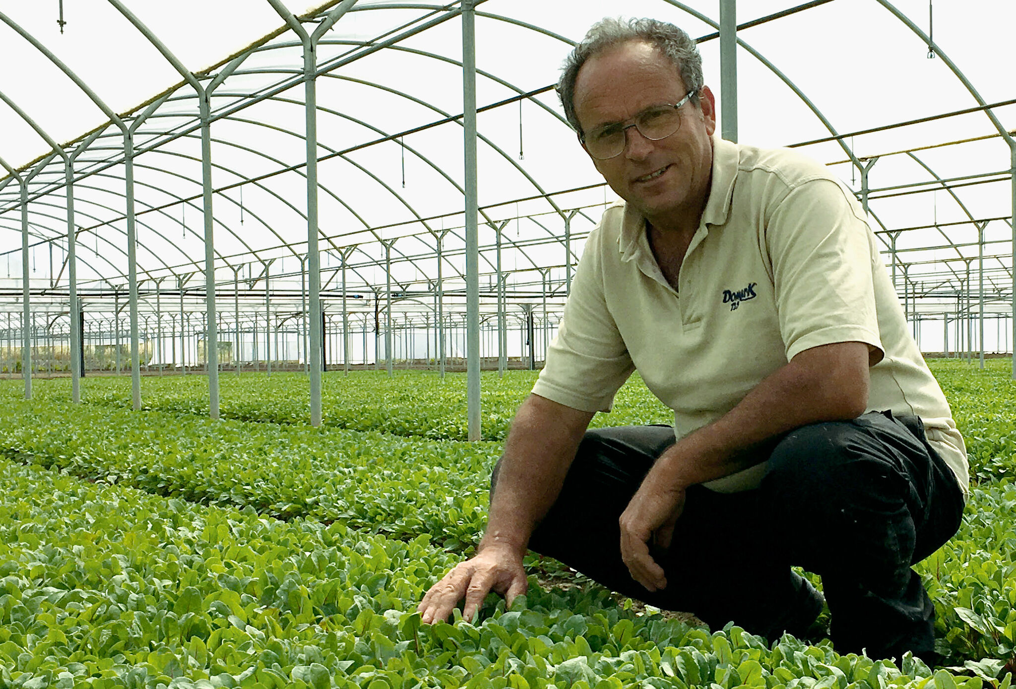 Un rendimiento superior de mi cultivo logrado desde el interior de mi suelo